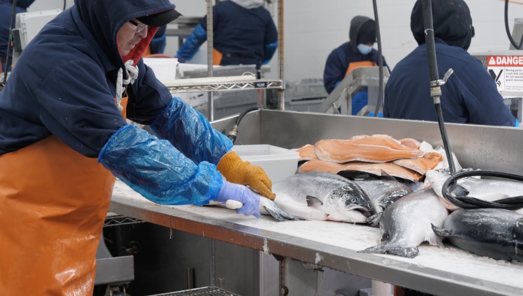 My Fishing Cape Cod - Behind the Scenes at Red's Best Seafood: How Innovation is Revolutionizing New England's Fresh Seafood Market